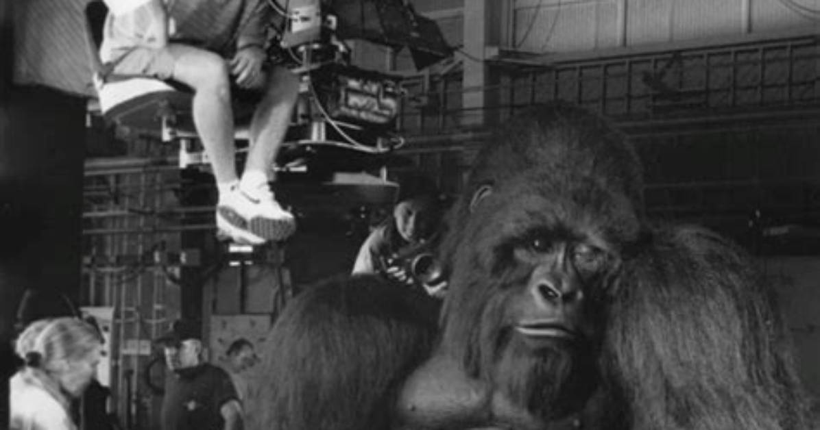 Behind the Scenes: the Life of Joe Rogan's Wife