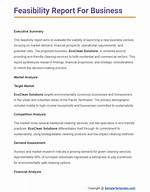 How to Write a Feasibility Report Sample