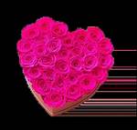 Laararose: Stunning Floral Designs & Gifts