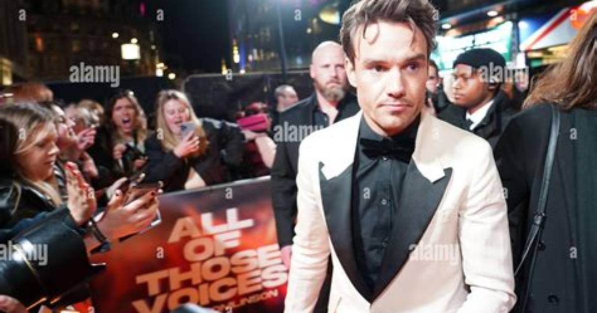 Liam Payne: All of Those Voices and His Journey in Music