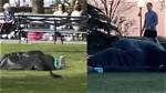 Nyc Blanket Couple Identified: the Heartwarming Story Behind the Viral Image