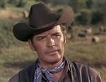 Peter Breck Net Worth, Income, Salary, Earnings, Biography